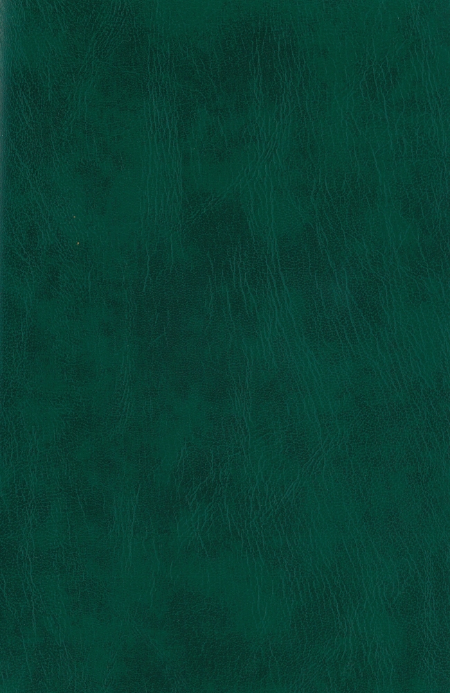 simil verde 23080NR